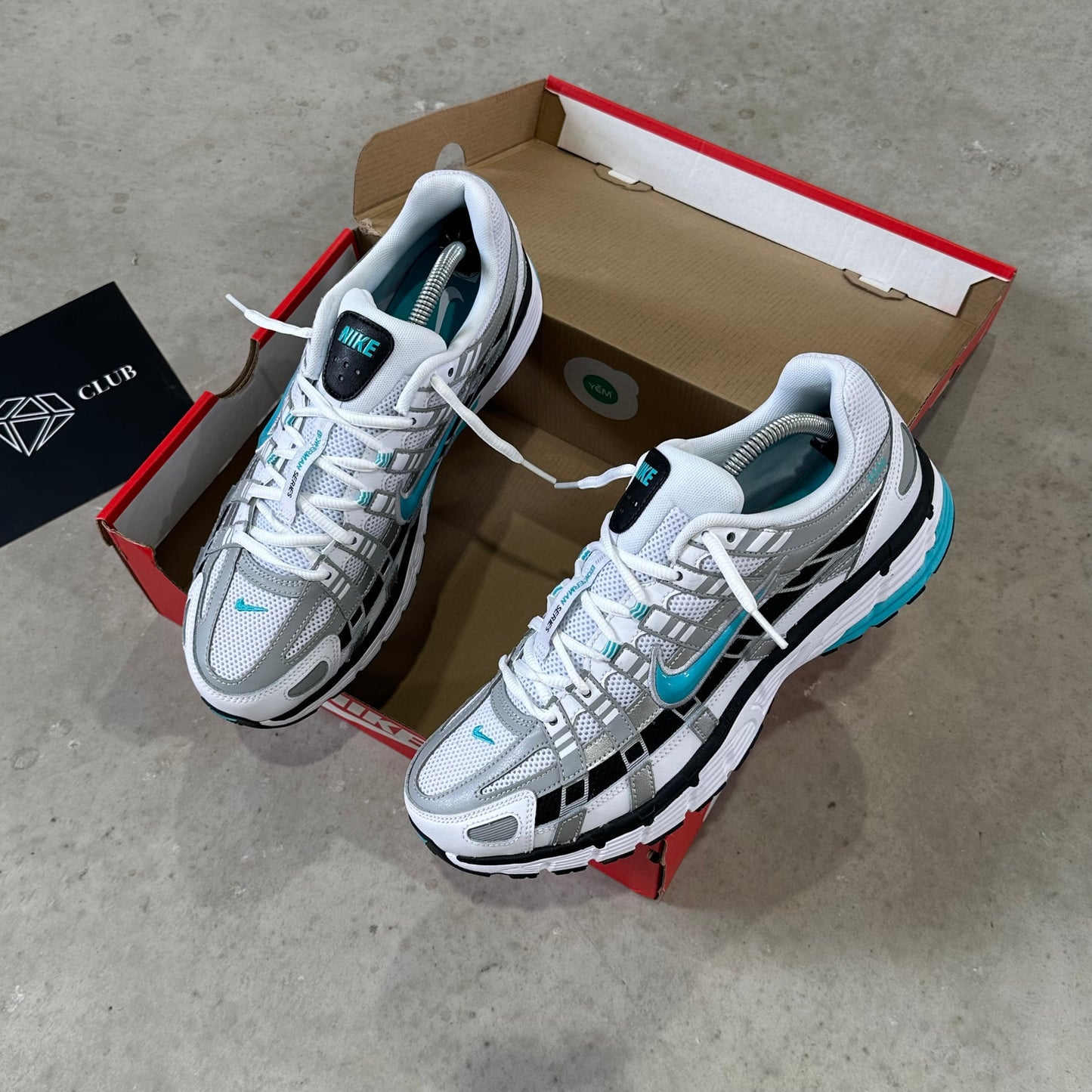 Nike P-6000 Dusty Cactus